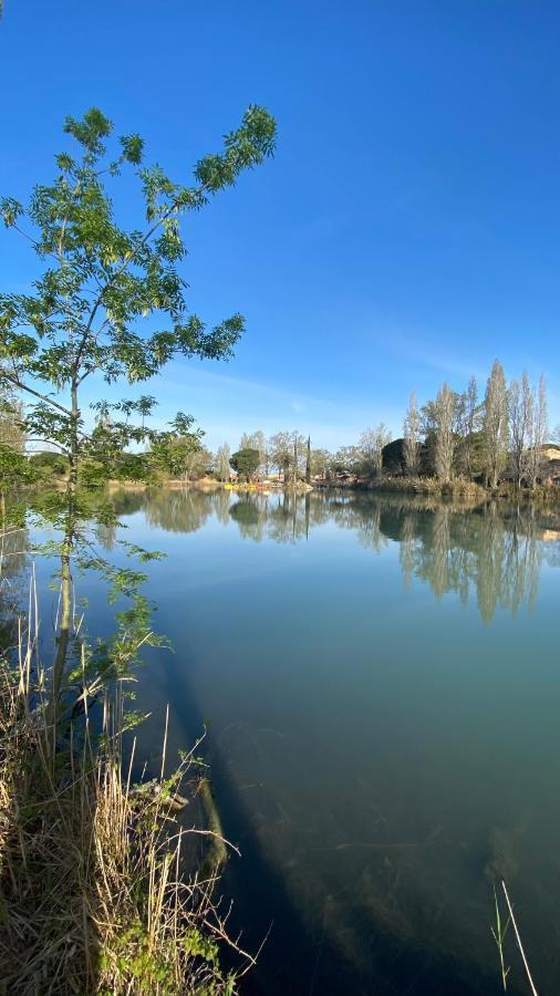 Joli Studio Camargue Lou Rouge Arles Bagian luar foto