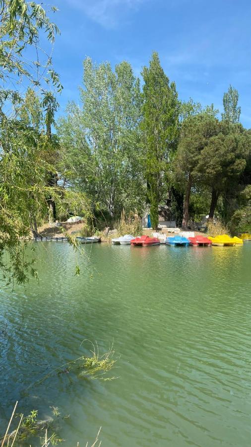 Joli Studio Camargue Lou Rouge Arles Bagian luar foto