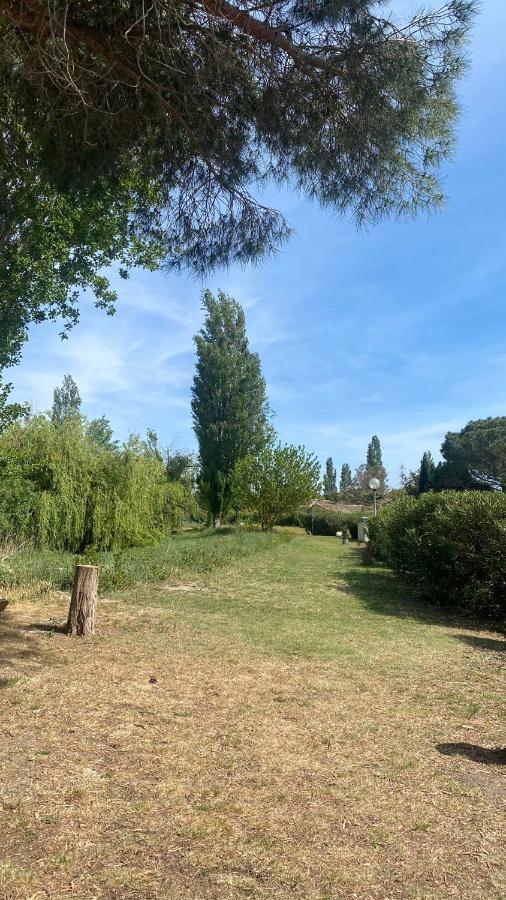 Joli Studio Camargue Lou Rouge Arles Bagian luar foto